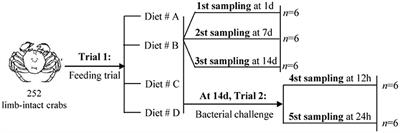 Dietary L-Tryptophan Modulates the Hematological Immune and Antibacterial Ability of the Chinese Mitten Crab, Eriocheir sinensis, Under Cheliped Autotomy Stress